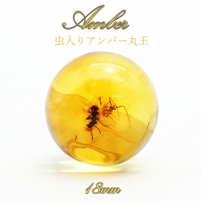 一点物 天然琥珀 アンバー 丸玉 虫入り 18 ゴールド 植物の化石 樹脂の化石 3 2g ドミニカ産 長寿 太陽 天然石 パワーストーン Nerodesign Com Br