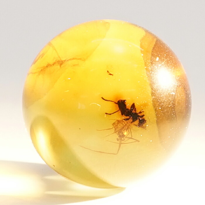 一点物 天然琥珀 アンバー 丸玉 虫入り 18 ゴールド 植物の化石 樹脂の化石 3 2g ドミニカ産 長寿 太陽 天然石 パワーストーン Nerodesign Com Br