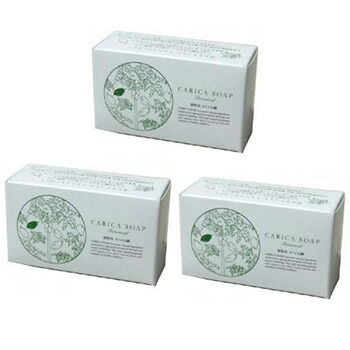 楽天市場】植物性カリカ石鹸 100g : トータルヘルスデザイン