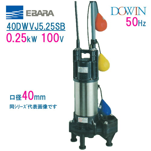 エバラ 樹脂製汚水・汚物用水中ポンプ 40DWVJ5.25SB 0.25kW 100V 50Hz 口径40mm 自動交互形 フロートスイッチ付 荏原製作所製水中ポンプ EBARA ダーウィン DOWIN|現場の安全 標識・保安用品