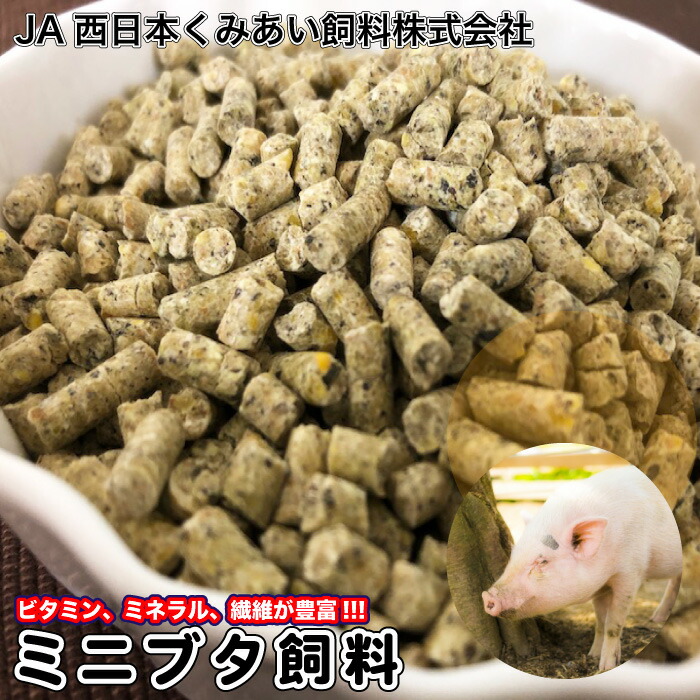 Amazon | マズリ インセクティボア [5M6C] 11.3kg | Mazuri
