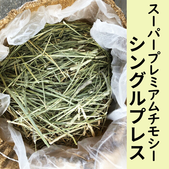 楽天市場】牧草 チモシー ダブルプレス 約30kg 1番刈り(アメリカ産) 令和3年産 圧縮 スーパープレミアムチモシー 小動物 エサ 敷材  送料無料【HTF】 : スペシャリティーショップ デイ