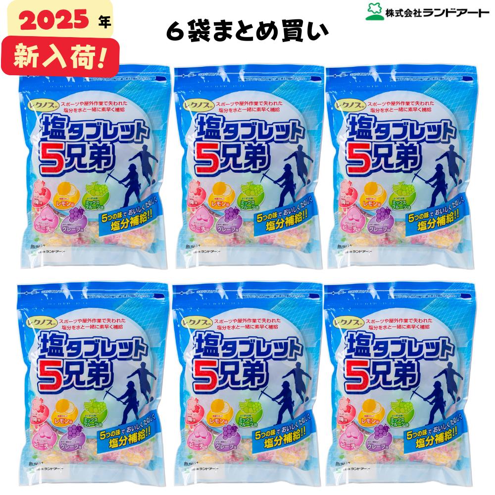 塩タブレット 500g × 5袋 賞味期限2026.2月 塩タブレット 5兄弟(500g入) 10袋 1850粒☆「暮らし館」イマジ