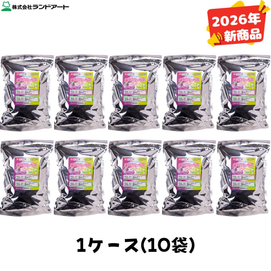 (10袋まとめ買い) ランドアート 塩グミ ミックス 250g袋入x10袋入り (グレープ味/マスカット味) 熱中症対策 塩分補給に 800-5271