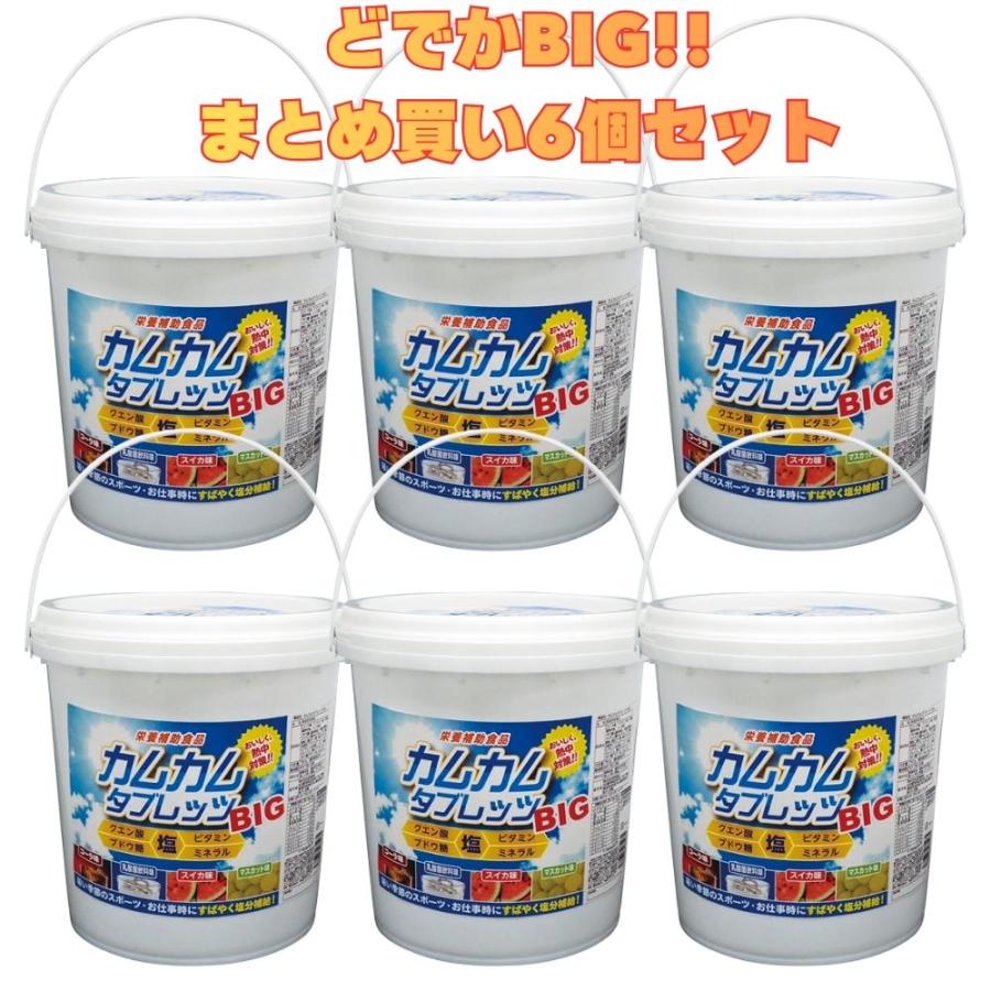 【6個まとめ買い】2026年製造品 カムカムタブレッツBIG 約500粒入x6個 N24-54 昭和商会 熱中タブレット(コーラ味 乳酸菌飲料味 スイカ味 マスカット味)｜現場屋本舗　店