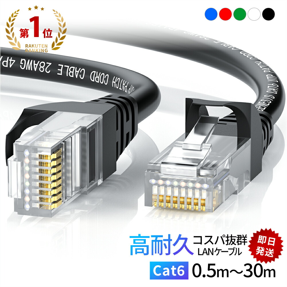 cat6_05-30m_1st.jpg