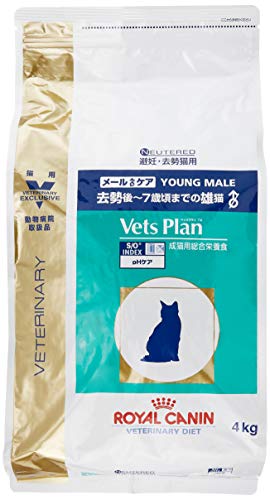 限定品 ベッツプラン Vets Plan 準療法食 猫 メールケア ドライ 4kg