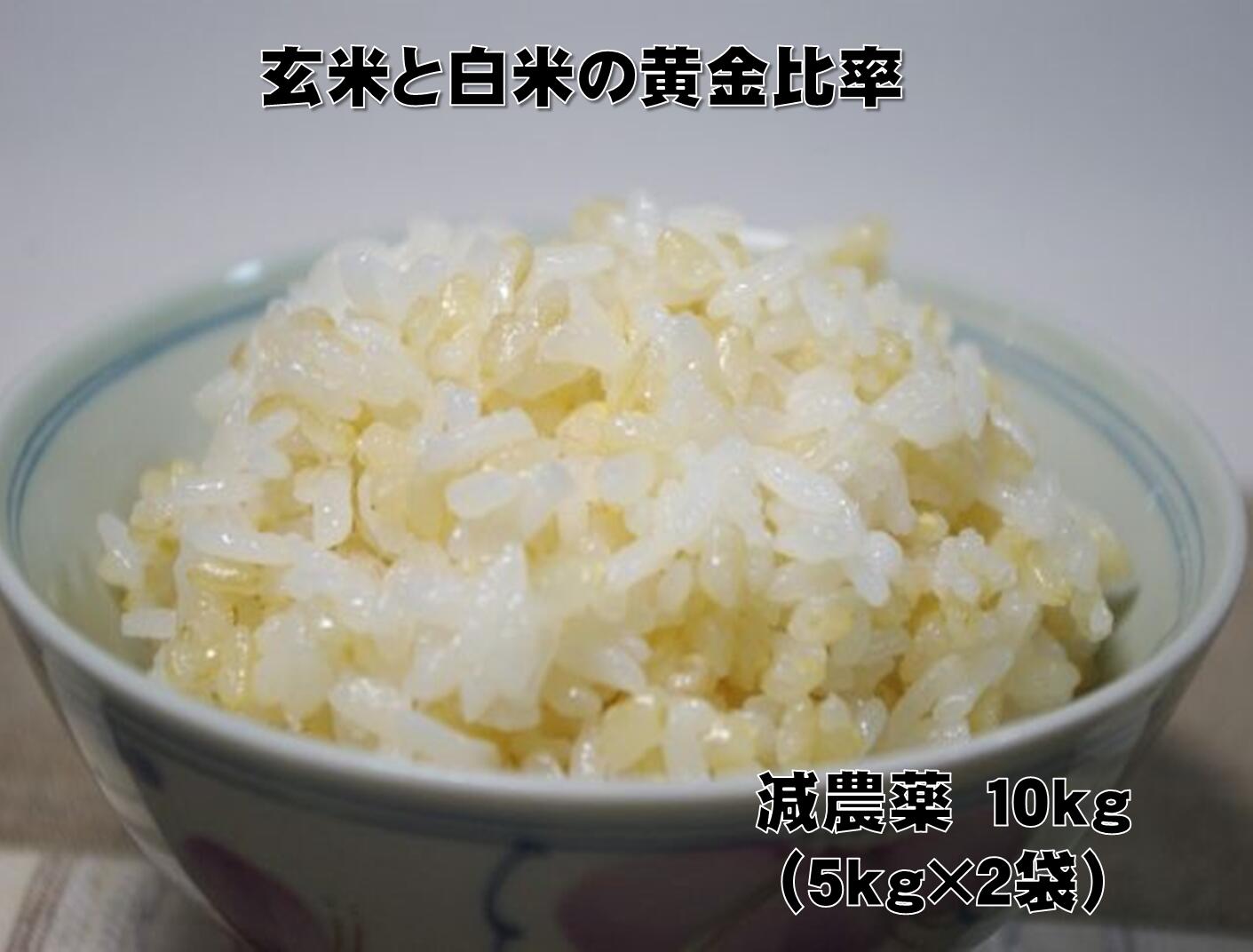 【特別栽培】 黄金比率ヘルシー米10kg（5kg×2袋） 【玄氣／発芽玄米30％配合の無洗米】 【発芽玄米／白米／無洗米】 送料無料（沖縄を除く：沖縄1000円加算）