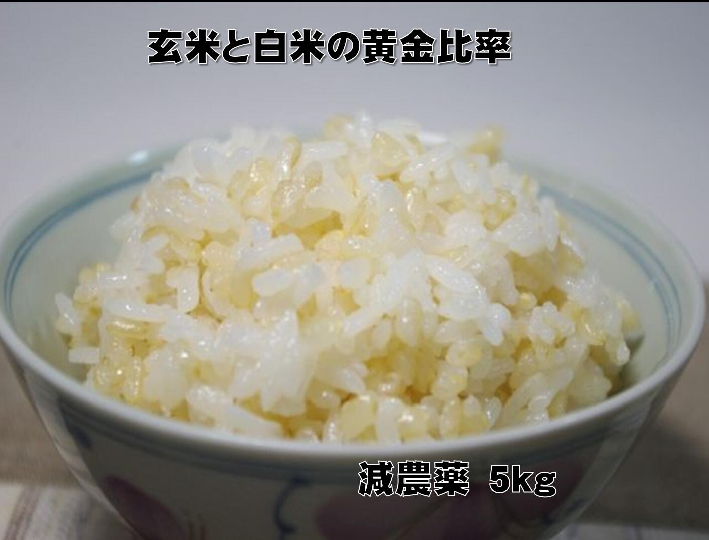 kirin様 農薬不使用 玄米5kg 別途送料500円 楽天市場】無農薬 玄米 5kgの通販