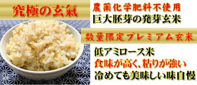 楽天市場】 究極の無農薬・玄氣（巨大胚芽） : 玄米・雑穀米の通販 川島米穀店