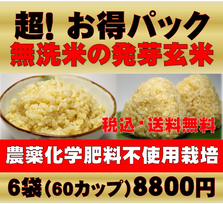 楽天市場 無農薬の発芽玄米 玄氣1 5kg 6袋 9kg真空パック 静岡県産 白米モード炊ける無洗米の発芽玄米 無農薬 玄米 発芽玄米 無洗米 玄米 雑穀米の通販 川島米穀店