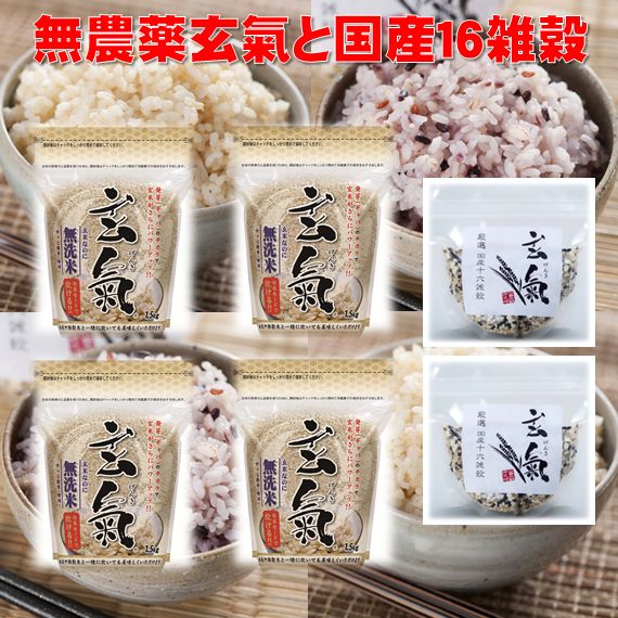 【農薬・化学肥料不使用栽培の玄氣】発芽玄米1.5kg×4袋と国産16雑穀米300g×2袋の送料無料セット(沖縄を除く:沖縄県は1000円加算)|玄米・雑穀米の通販 川島米穀店