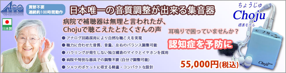 クリアファイル　ノベルティ　製薬会社　ハイチュウ　他　83枚 Amazon.co.jp: 本田翼 クリアファイル A4サイズ ソフトバンク