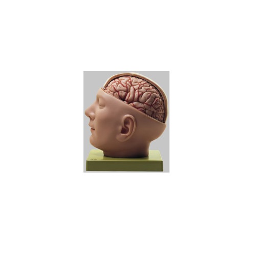 ひな型Human Model 雁首根もとひな型 高さ24cm×幅18cm×奥ふかさ20糎 2.0kg BS5/1 ソムソ