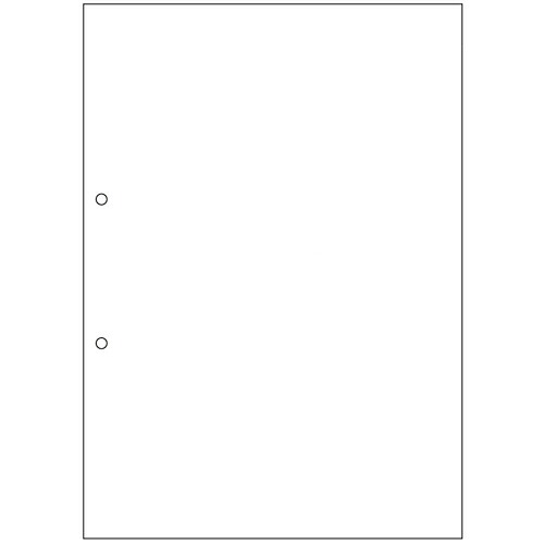 マルチ印刷工帳票(経済システム通貨価値) A4 新規まき直し 2穴 1箱(2500枚) BPE2001 ヒサゴ#