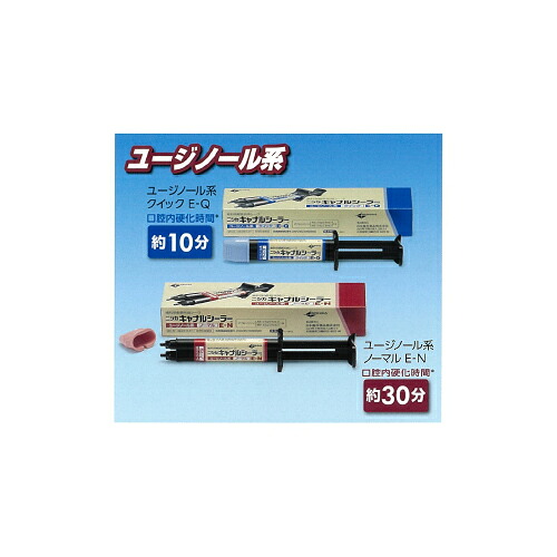 歯科用根管詰め直すシーラ ニシカキャナルシーラー ユージノール系クイック E-Q 1書き割り 日本歯科医薬品