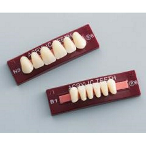 レイニング人工歯 前歯 下顎 115ST-ML レイニング人工歯 前歯 下顎 115ST-ML レイニング人工歯 前歯