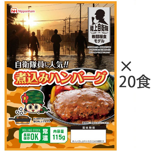 寄せ集めハンバーグ 1入れもの(20食) 202111-05-02 日本ハム#