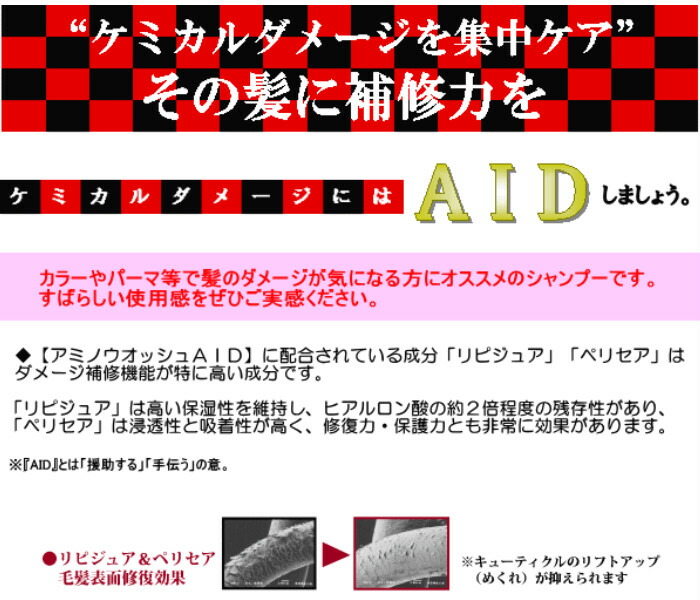楽天市場 送料無料 北海道 沖縄を除く エルコス アミノウォッシュaid シャンプー1000ml アミノコンデaid トリートメント 1000g ダメージ補修機能 美容室 専売品 詰め替え 元気な髪 美容ヤマグチ楽天市場店