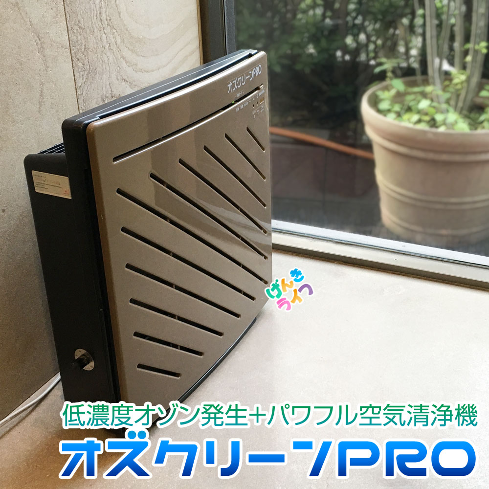 大人気 在庫あり  【MNLHBFY5HGM】 限定デザイン