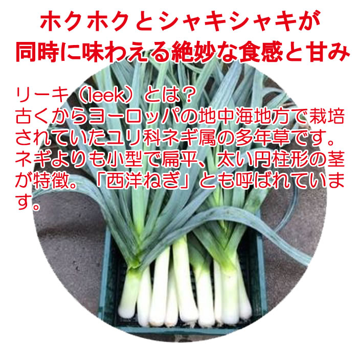 楽天市場 深谷リーキ 2kg 冬季限定 季節野菜 12月 2月 六次産業協同組合 送料別 道の駅おかべ げんき野菜王国