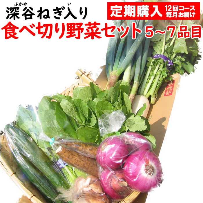 新鮮野菜セット 5〜7品目 （深谷ねぎ入り）定期購入