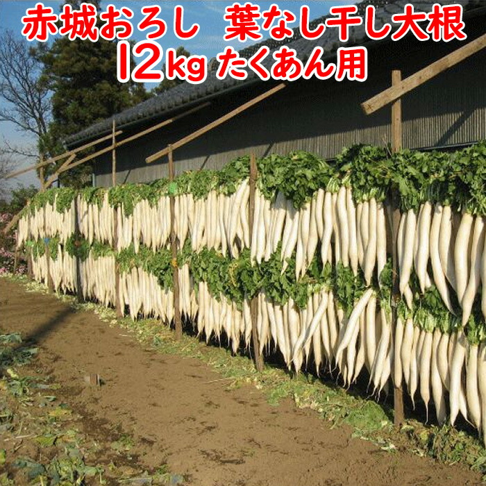imgrc0099513555.jpg