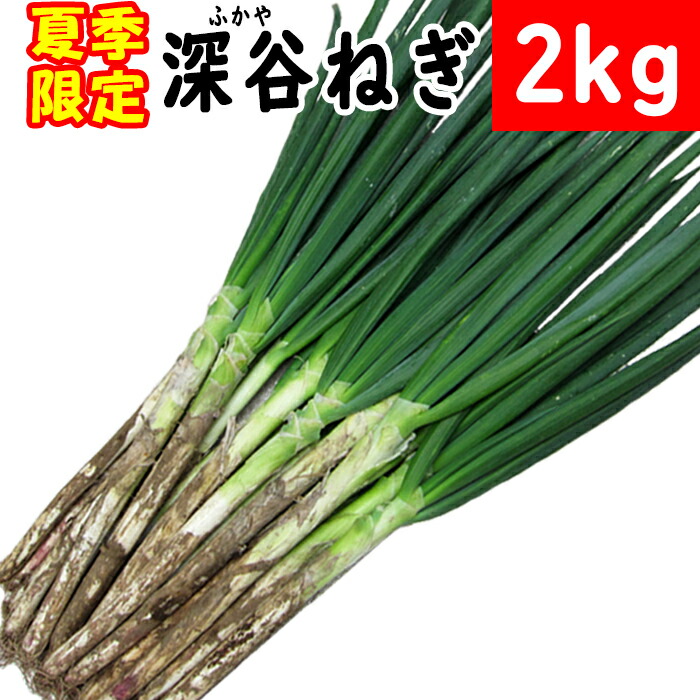 楽天市場 夏季限定 土付き深谷ねぎ2kgセット 無選別 埼玉県深谷市産 産地直送 クール便 送料無料 道の駅おかべ げんき野菜王国