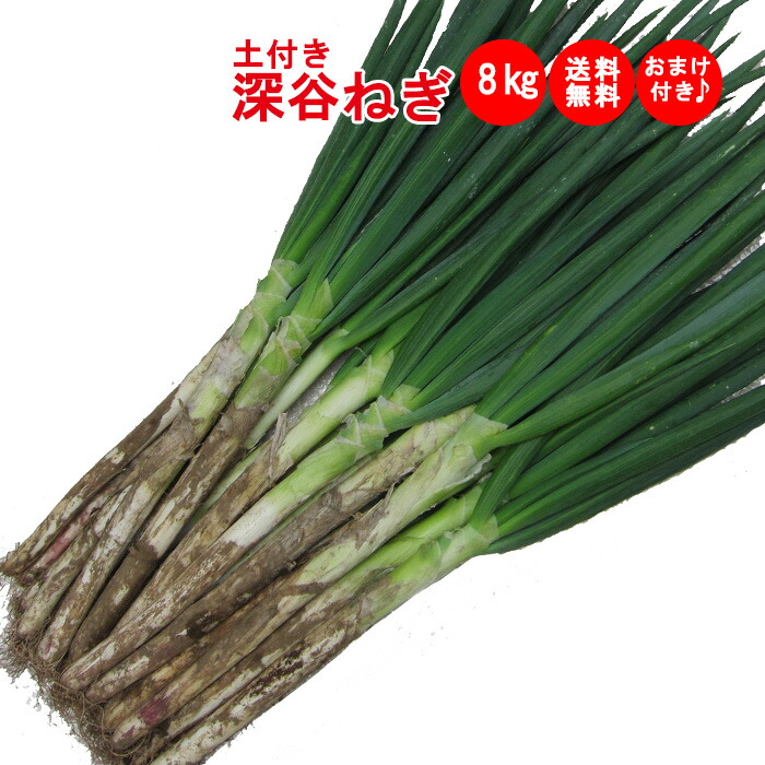 深谷ネギ　２０キロ　Kaka 楽天市場】深谷ねぎ 土付き 産地直送 本場の味 鍋料理 一本焼き ねぎ