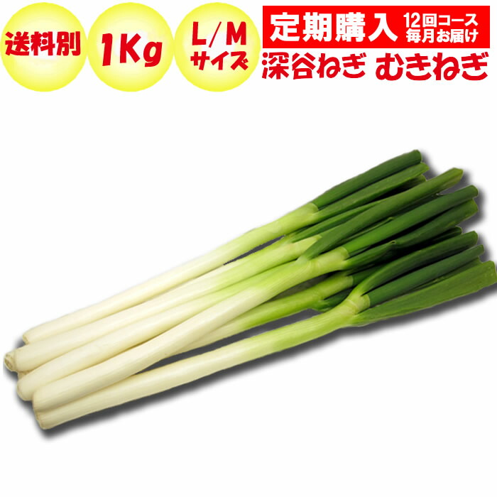 【楽天市場】深谷ねぎむきねぎ1kg L/Mサイズ（約6〜10本）定期購入【隔月 年6回コース 送料別 常温発送／クール便（気温によって配送方法変更）】  : 道の駅おかべ げんき野菜王国