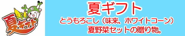 楽天市場】生ころてん 2.55kg 14本入りx3袋 突き棒付【天草100% 協和食品工業(埼玉県深谷市) 送料別】【NS】 : 道の駅おかべ げんき野菜王国 楽天市場】生ころてん 2.55kg 14本入りx3袋 突き棒付【天草100% 協和食品工業(埼玉県深谷市) 送料別】【NS】 : 道の駅おかべ げんき野菜王国