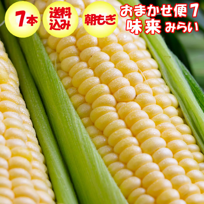 Amazon.co.jp: 乾燥野菜 乾燥 とうもろこし 【粒カット品