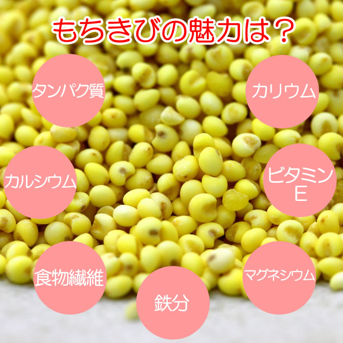 主な効能物質