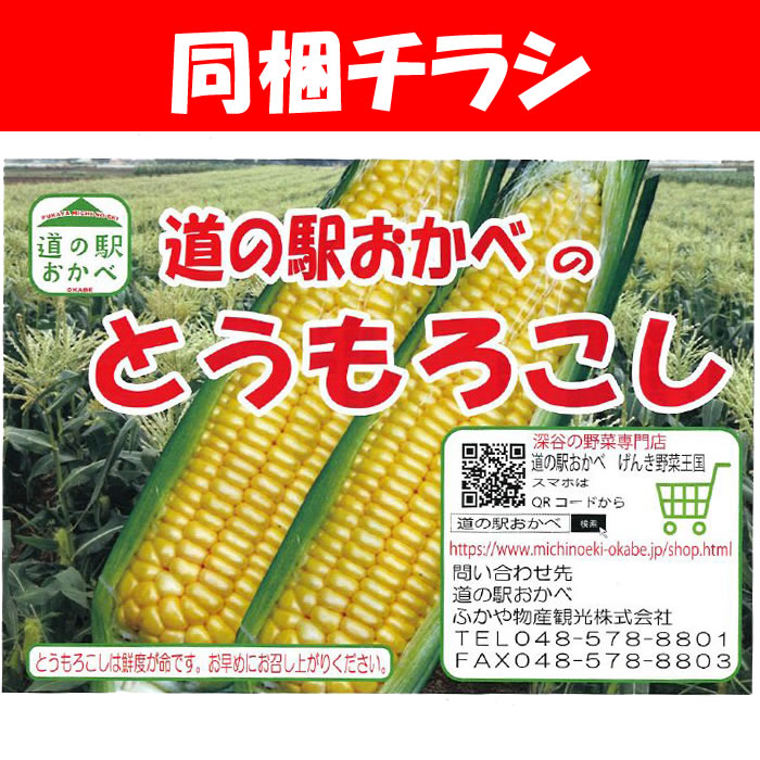 楽天市場 味来 みらい 2lサイズ 13本 約4kg 産地直送 朝もぎのとうもろこし 夏季限定 季節野菜 6月 7月 同梱不可 送料無料 クール宅急便 道の駅おかべ げんき野菜王国