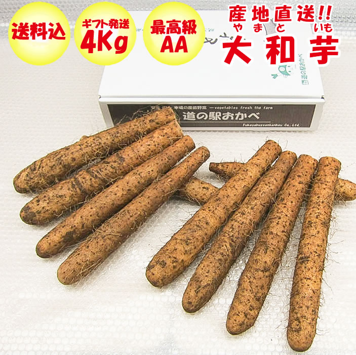 本場 大和芋 4Kg AA品　【最高級 化粧箱入り 贈答用　 送料込み】