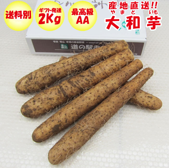 市場 大和芋5.4kg ねっとりやまといも B品：訳あり 1.8Kg 沖縄 x 3袋 離島は配送不可