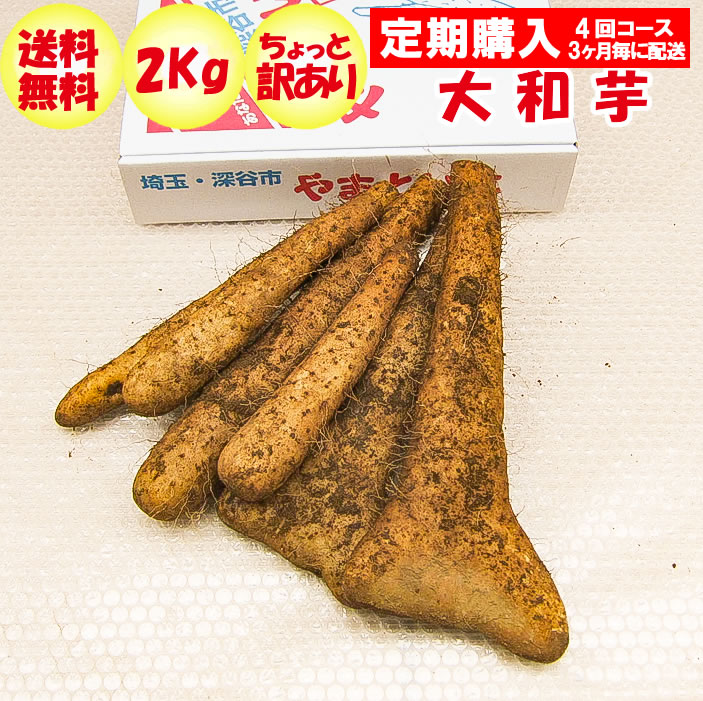 【メーカー直送】大和芋2Kg A品：ちょっと訳あり 定期購入