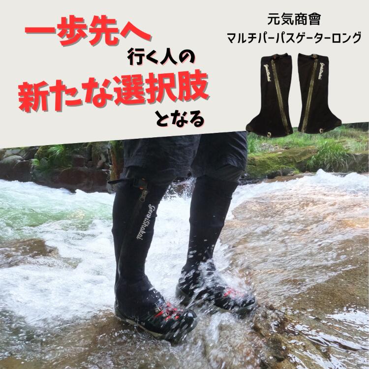 楽天市場】【8月1日限定P5倍】【ジョインター別注モデル