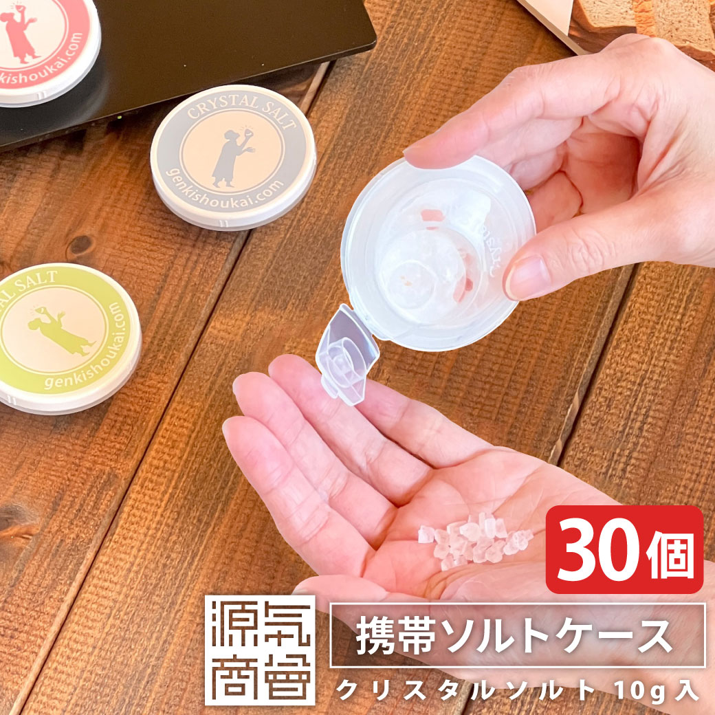 ＜2025年12月度月間優良ショップ受賞＞【30個セット】【 岩塩 10g入り】熱中症予防 タブレット『 携帯 ソルトケース 30個 セット 』熱中症対策 塩 岩塩 食用 ヒマラヤ岩塩 クリスタル岩塩【 送料無料 】塩分チャージ [3] (5h2)画像