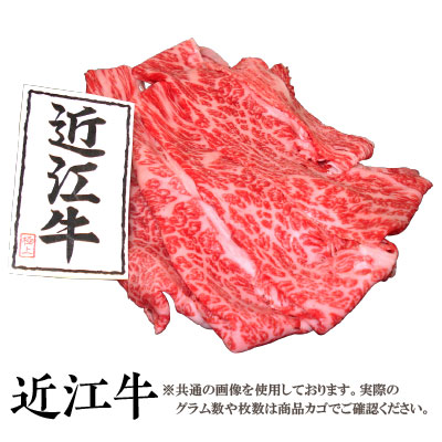 掛軸 光雲筆 梅花図 紙本淡彩 肉筆作品 縦110cm×横60cm