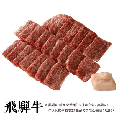 【送料無料】飛騨牛 霜降り 焼肉用ロース５００ｇ［贈答兼備］｜厳選JAPAN　店