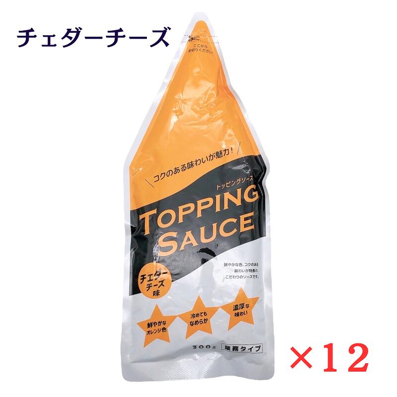 のむソース 楽天市場】ニップン トッピングソース チェダーチーズ味 300g