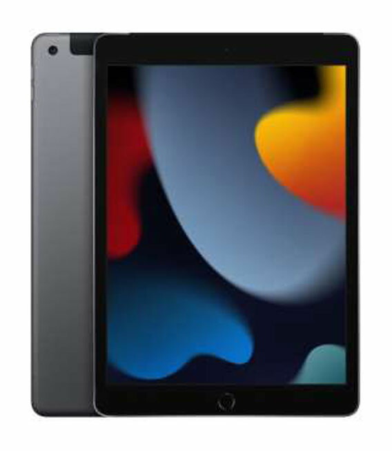 【中古】【安全性のある引き受ける】 iPad 10.2in 第9時人[64GB] セルラー docomo あき場所薄墨色