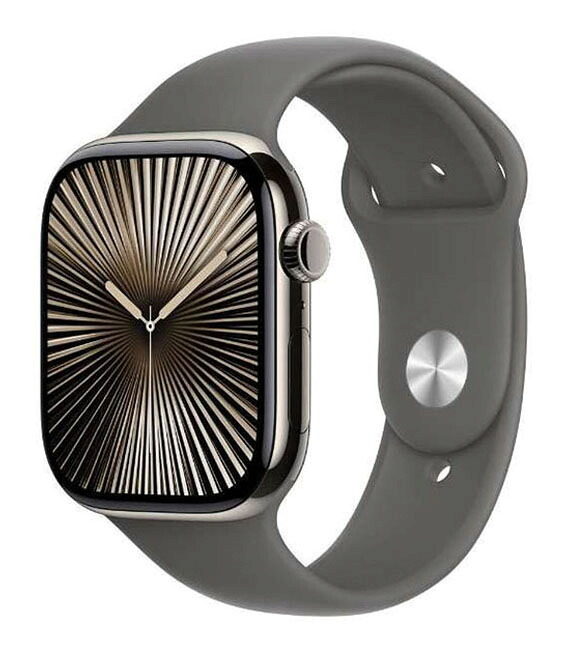 【中古】【安心保証】 Series10[46mm/セルラー]チタン ナチュラル Apple Watch