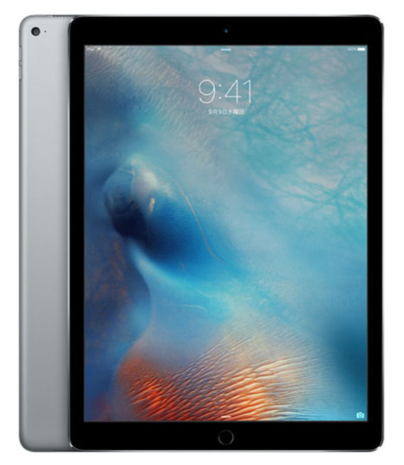 UNISEX S/M iPadpro 12.9インチ au グレー 128GB | www.kdcow.com