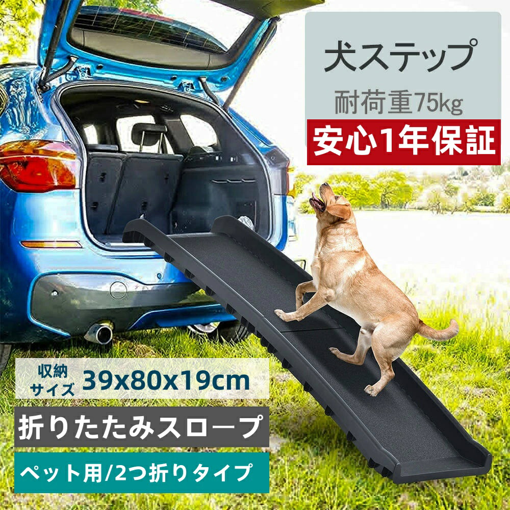楽天市場】＼8月15日全品5倍+5の日4倍+最大2,000円OFF