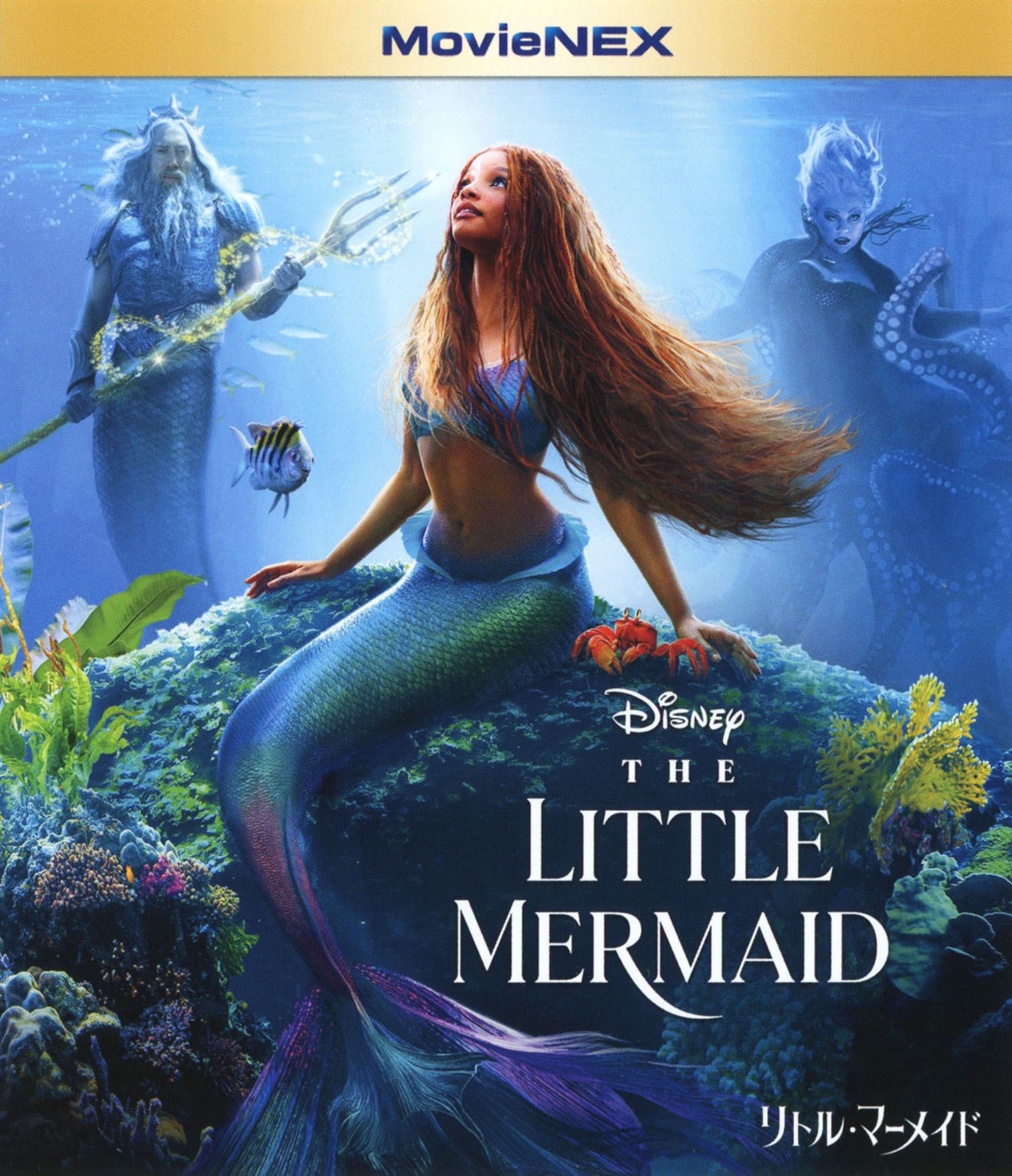 【中古】リトル・マーメイド (2023) MovieNEX (BD+DVD) 【ブルーレイ】／ハリー・ベイリーブルーレイ／洋画ラブロマンス画像