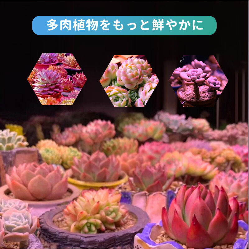 50%OFF!】 今だけ300円OFFクーポン P5倍 植物育成ライト LED 40W 植物ライト 4ヘッド 室内栽培ランプ 360°調節可能  USB給電 日照不足解消 多肉植物 観葉植物 育成 家庭野菜園 室内園芸 水耕栽培植物ライト クリップ式 観賞用 省エネ 9段階調光 3段階調色  リモコン付属 ...