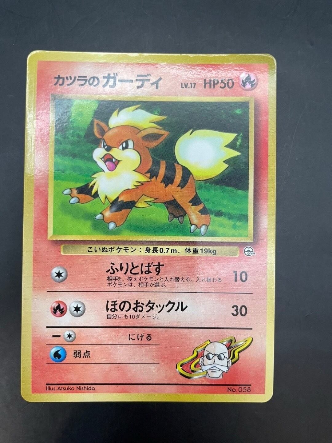 2003年　ポケモンカード　大量 ポケモンカード イルカマンex sar - メルカリ