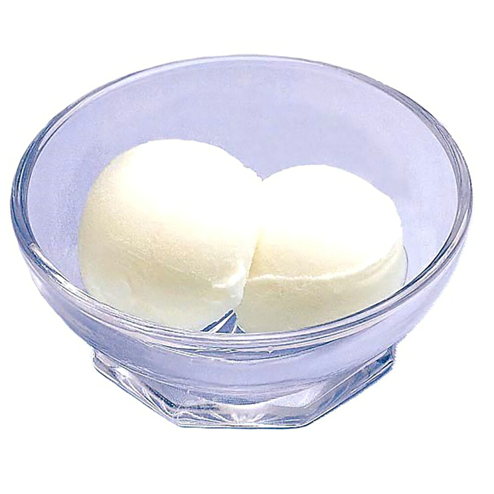 【ケース販売 4個入1ケース】森永 ココナッツミルクアイス 2L 1本